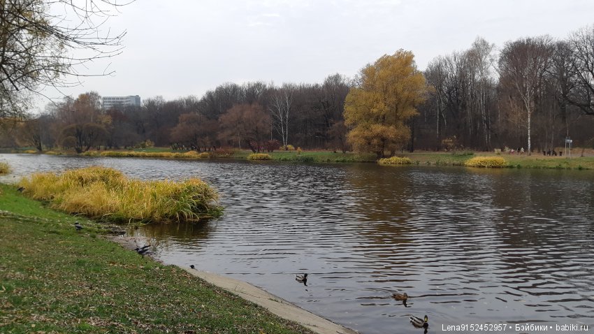 За последними красками осени (фото 4)