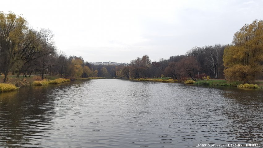 За последними красками осени (фото 5)