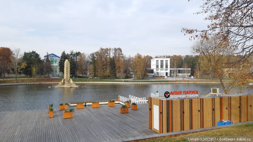 За последними красками осени