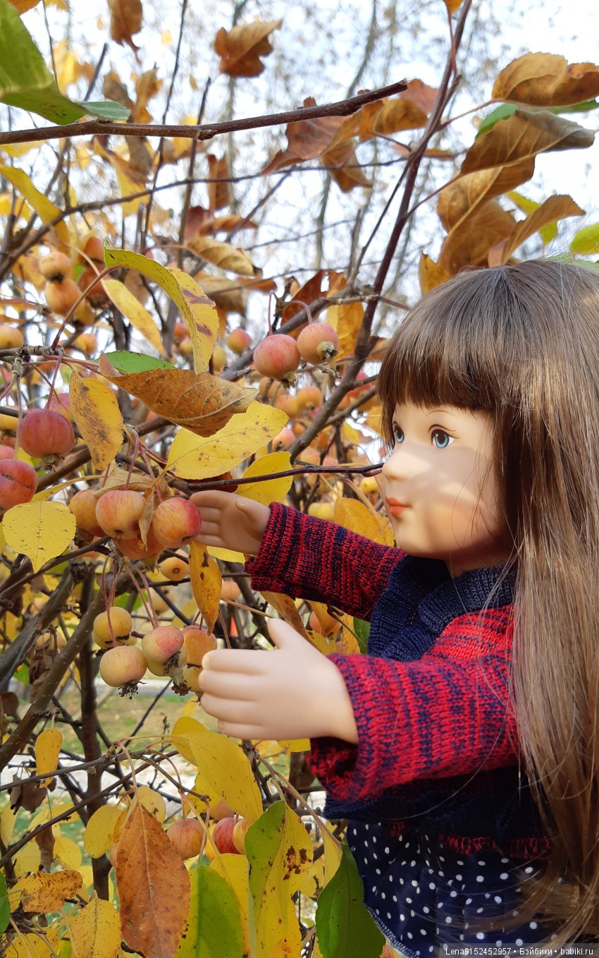 За последними красками осени