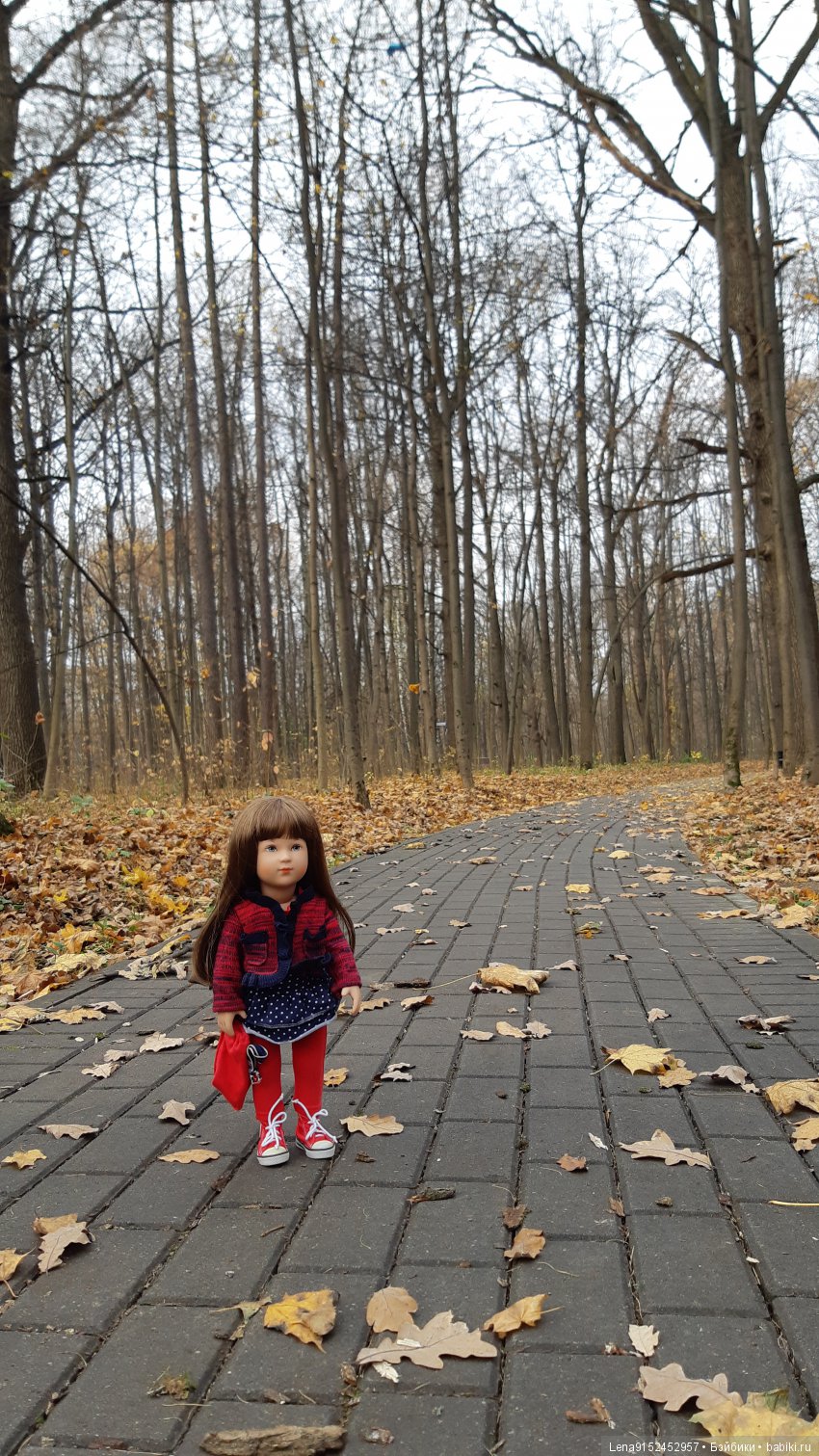 За последними красками осени