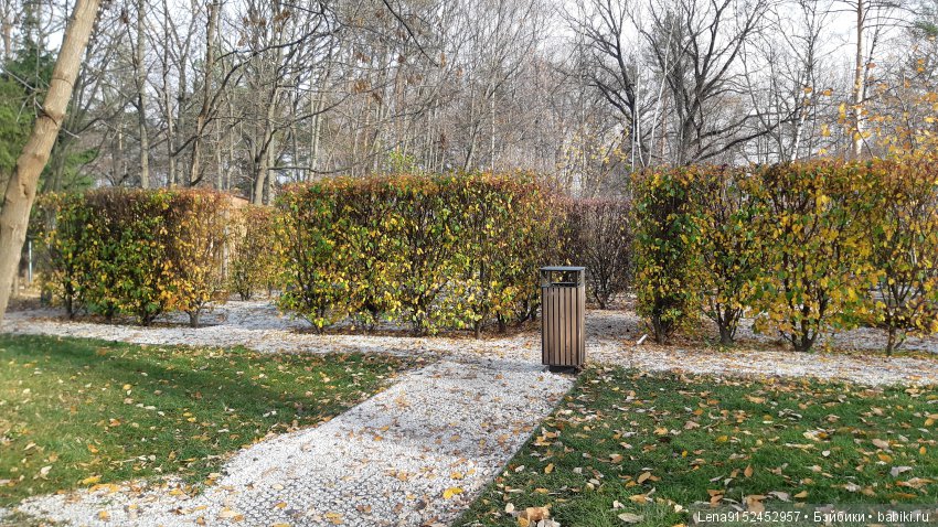 За последними красками осени