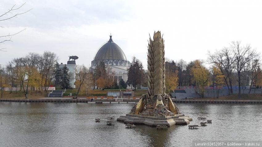 За последними красками осени