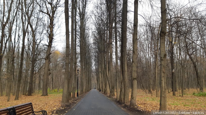 За последними красками осени (фото 2)