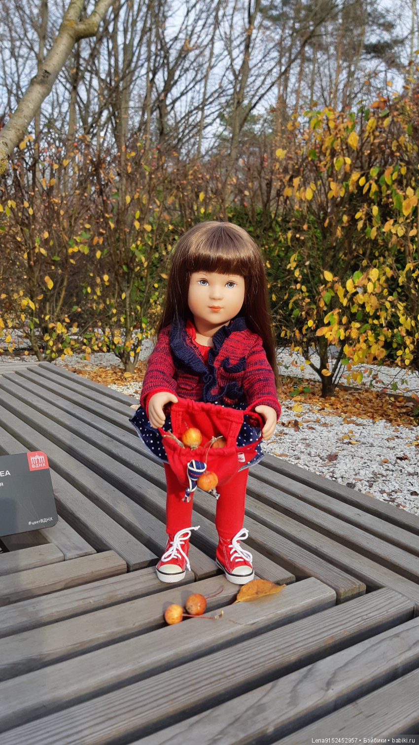 За последними красками осени