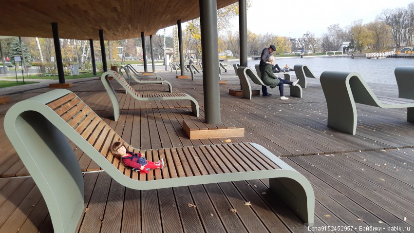 За последними красками осени