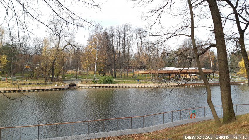 За последними красками осени