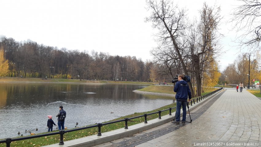 За последними красками осени