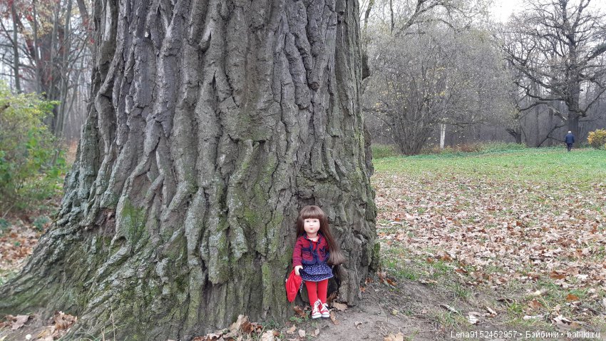 За последними красками осени (фото 8)