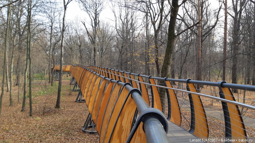 За последними красками осени