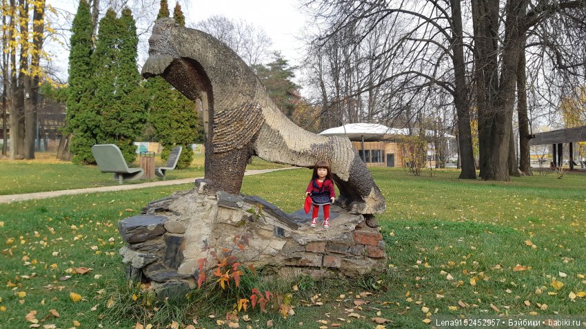 За последними красками осени