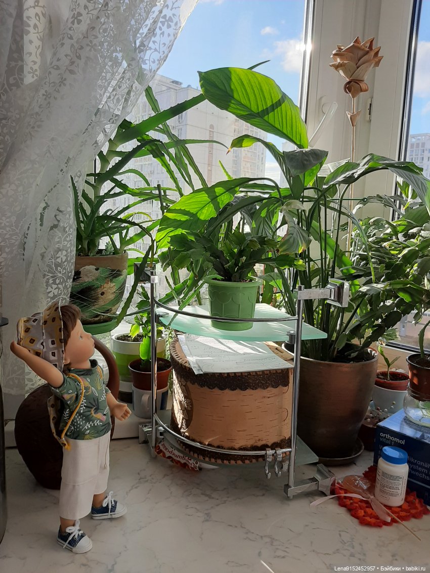 Минуш Элой от Сильвии Наттеррер (фото 6)