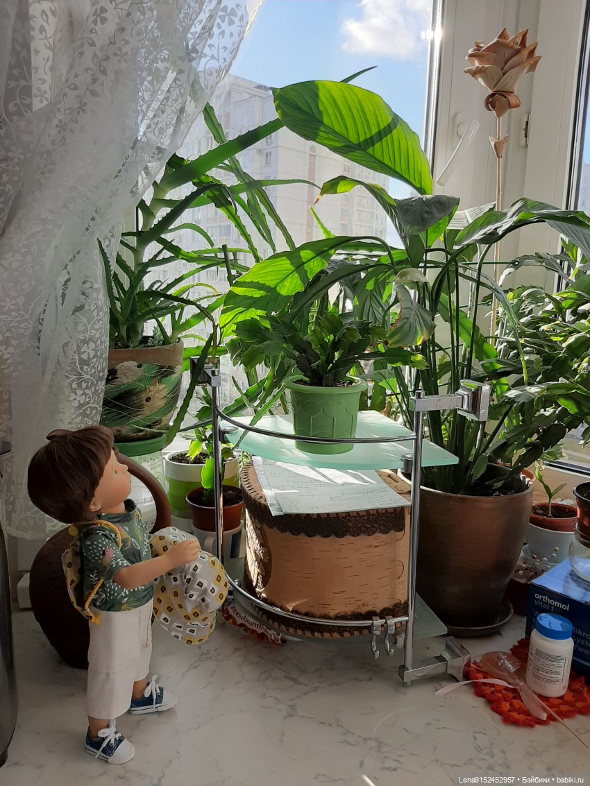 Минуш Элой от Сильвии Наттеррер (фото 7)