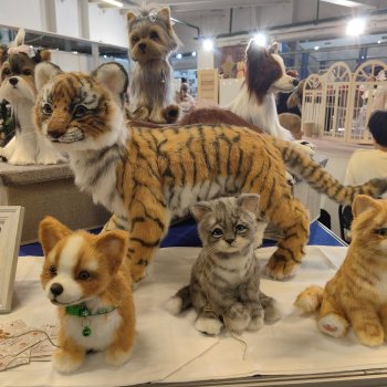 Хеллоу тедди декабрь 2025 - часть 2