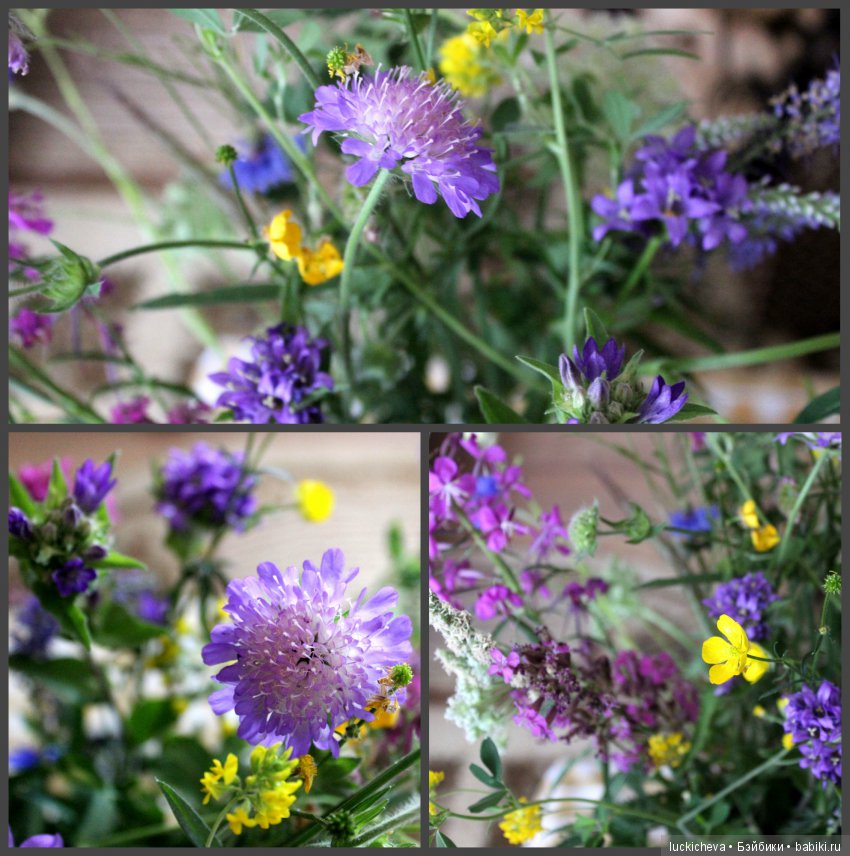 По лету босиком шагая... Как эльф и ведьмочка счастье по полям, лесам, да садам искали