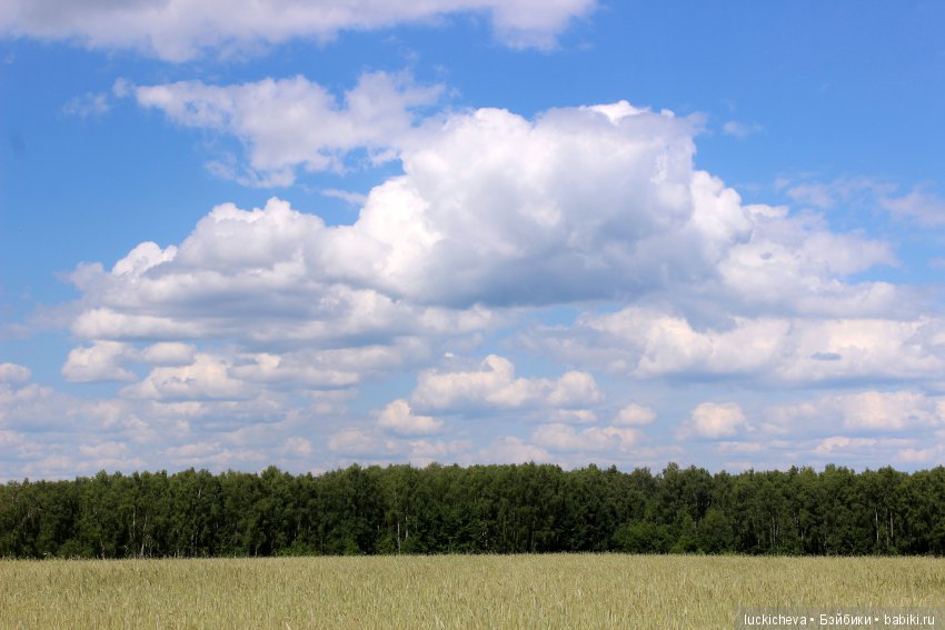 По лету босиком шагая... Как эльф и ведьмочка счастье по полям, лесам, да садам искали