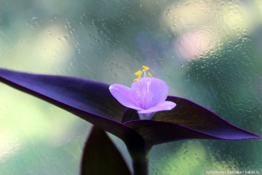 Сам себе фотограф. Подборка предметных фотографий моего авторства, немножко сокровищ и волшебной атмосферы