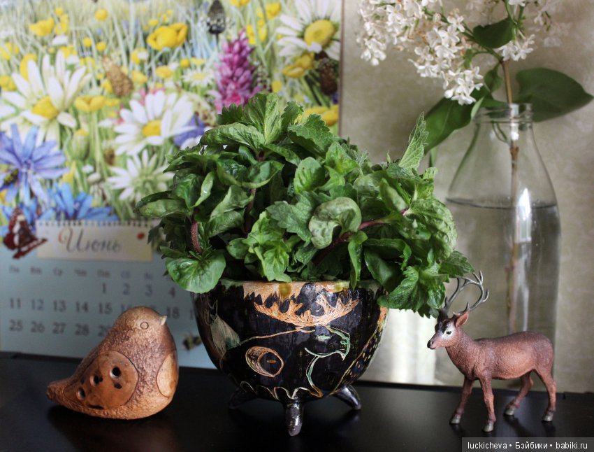 Сам себе фотограф. Подборка предметных фотографий моего авторства, немножко сокровищ и волшебной атмосферы