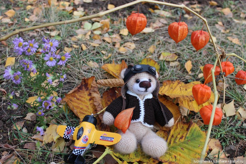 Аберфорт Берфелинг - игрушечный, но почти живой. Сказка про медведя, влюблённого в небо