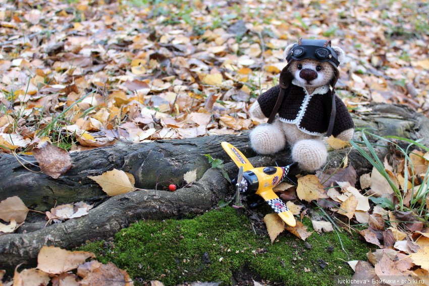 Аберфорт Берфелинг - игрушечный, но почти живой. Сказка про медведя, влюблённого в небо (фото 3)