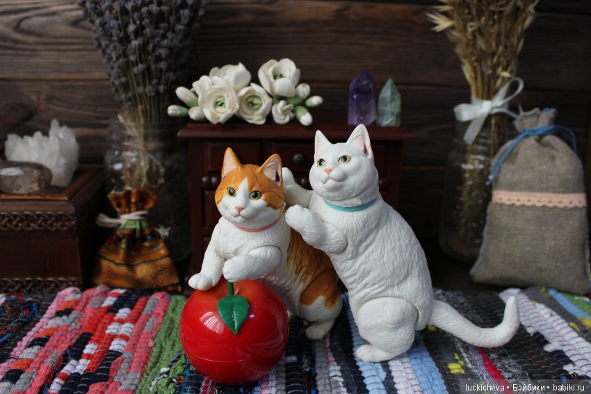 Игрушечные, но такие настоящие! Наше дружное семейство. Знакомство с Гусём Перелётным, баловство котиков Sofubi и ещё