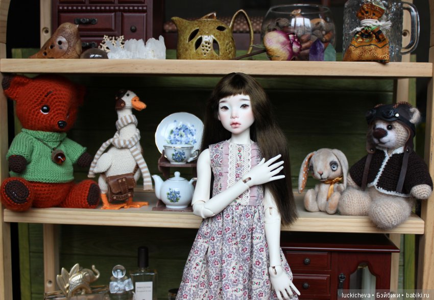 Новая жительница моего мира, нежная ласточка Файлин. Наша первая домашняя фотосессия