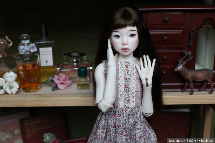 Новая жительница моего мира, нежная ласточка Файлин. Наша первая домашняя фотосессия