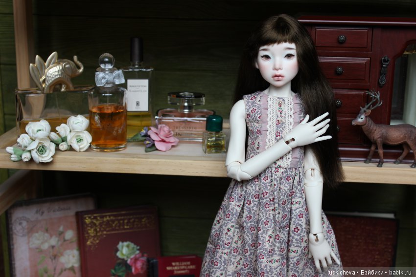 Новая жительница моего мира, нежная ласточка Файлин. Наша первая домашняя фотосессия