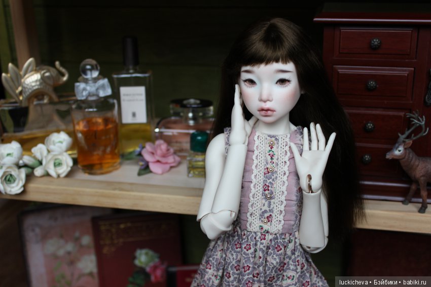 Новая жительница моего мира, нежная ласточка Файлин. Наша первая домашняя фотосессия