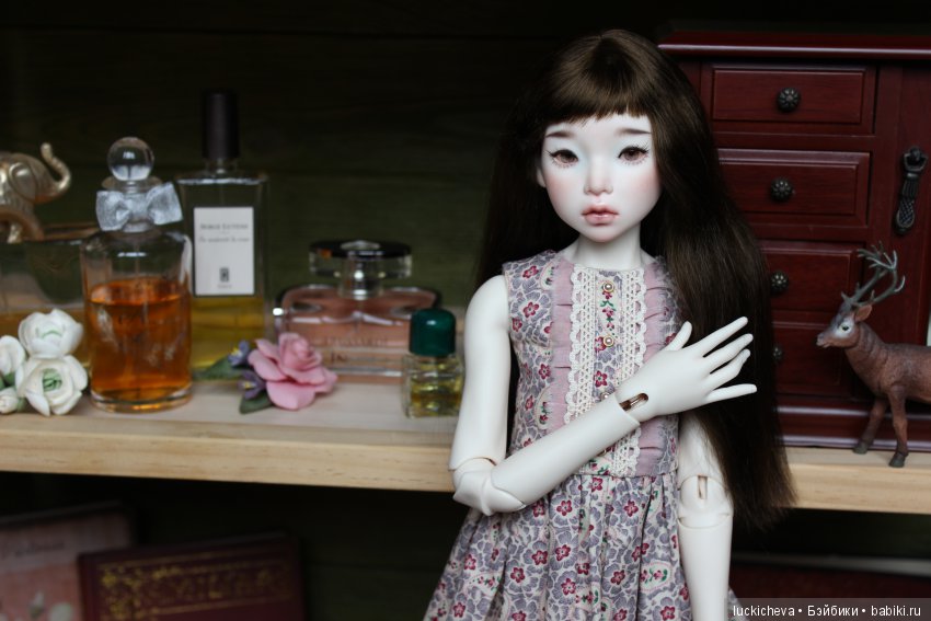 Новая жительница моего мира, нежная ласточка Файлин. Наша первая домашняя фотосессия