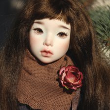 Из жизни Файлин. Подарки от наших друзей, первая весенняя прогулка по городу и новая игрушечная жительница