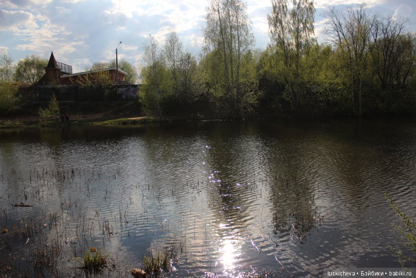 Файлин в хвойном парке - сохраняем впечатления и делимся с вами. Радости и трудности фотографа