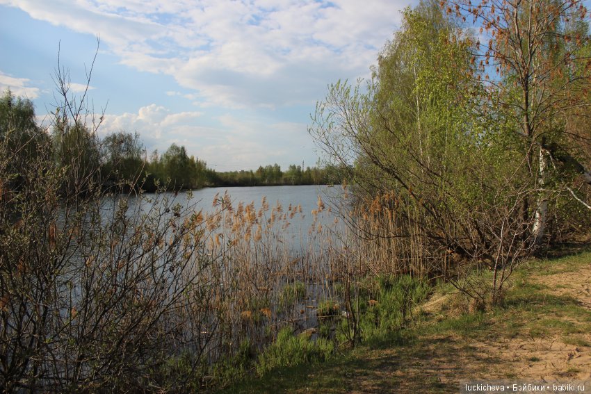 Файлин в хвойном парке - сохраняем впечатления и делимся с вами. Радости и трудности фотографа