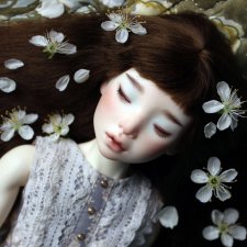 Файлин - весенняя фея. Цвет весны, белоснежно-нежный, прекрасный и быстротечный