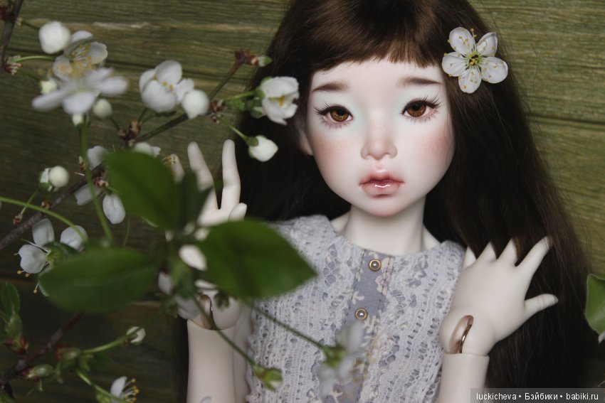 Файлин - весенняя фея. Цвет весны, белоснежно-нежный, прекрасный и быстротечный