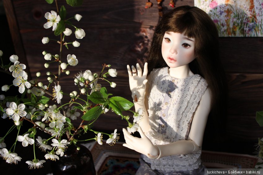 Файлин - весенняя фея. Цвет весны, белоснежно-нежный, прекрасный и быстротечный