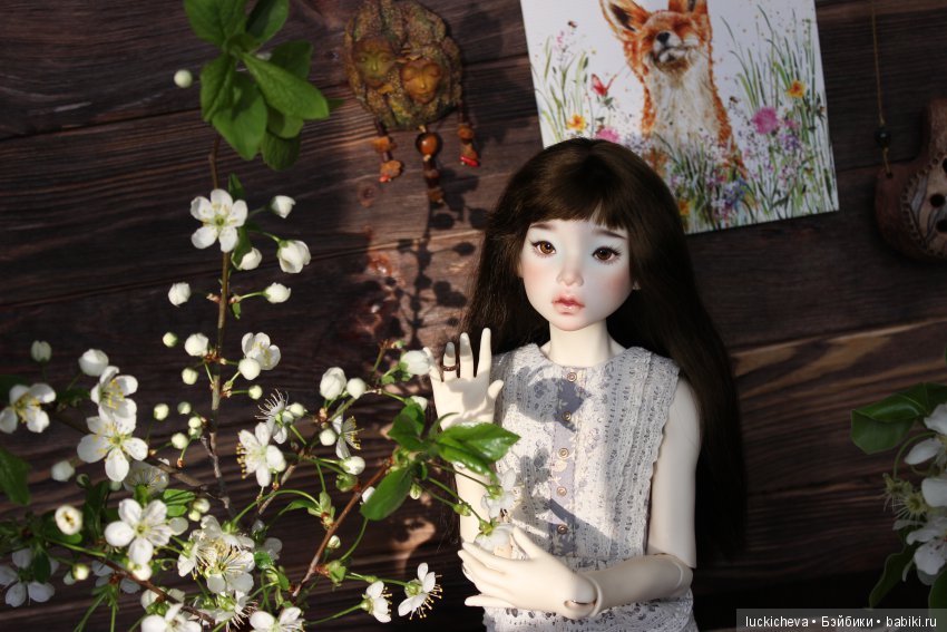 Файлин - весенняя фея. Цвет весны, белоснежно-нежный, прекрасный и быстротечный