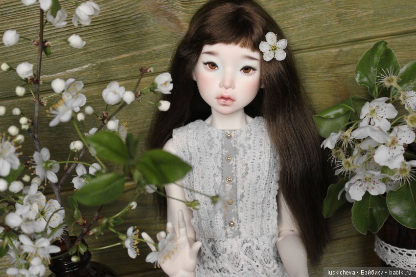 Файлин - весенняя фея. Цвет весны, белоснежно-нежный, прекрасный и быстротечный