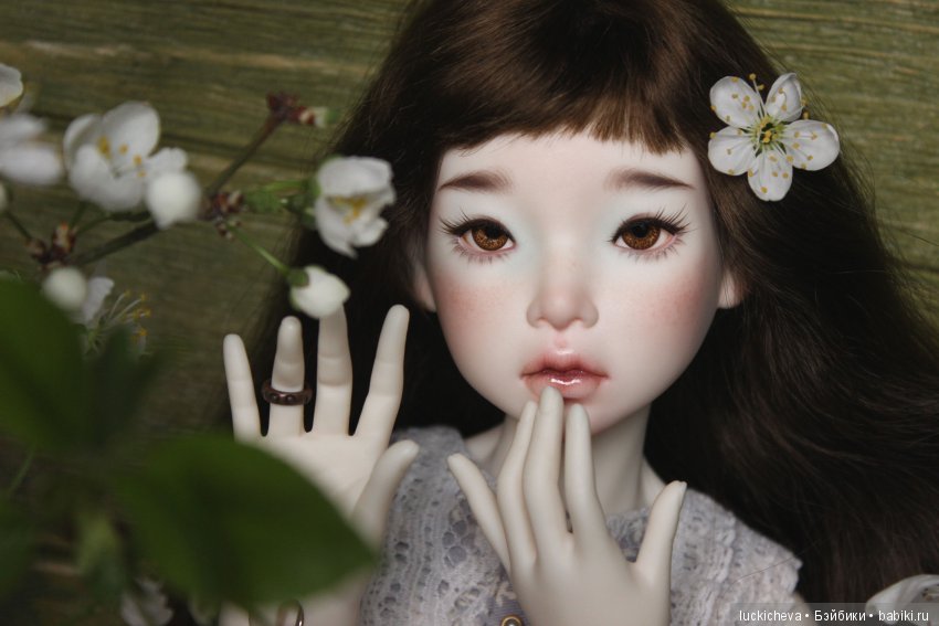 Файлин - весенняя фея. Цвет весны, белоснежно-нежный, прекрасный и быстротечный