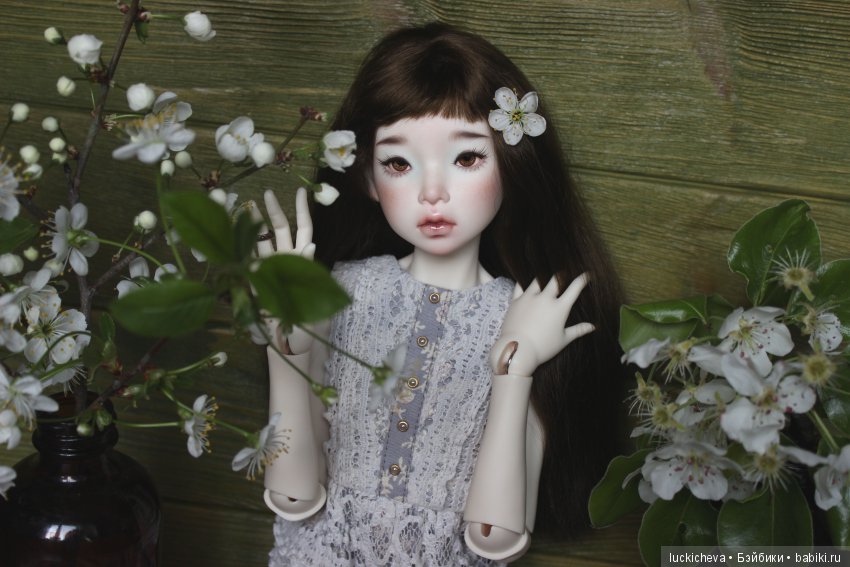 Файлин - весенняя фея. Цвет весны, белоснежно-нежный, прекрасный и быстротечный