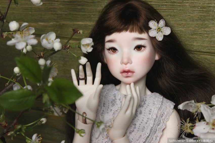 Файлин - весенняя фея. Цвет весны, белоснежно-нежный, прекрасный и быстротечный