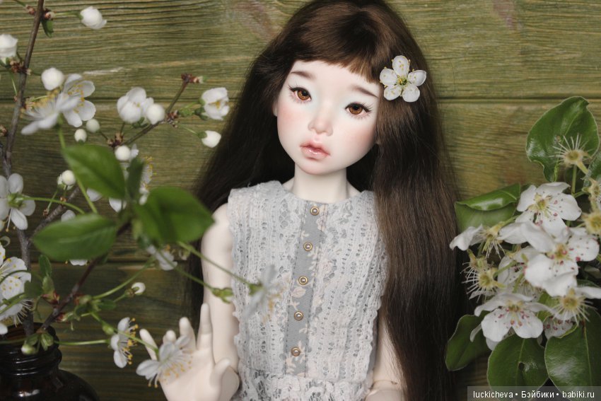 Файлин - весенняя фея. Цвет весны, белоснежно-нежный, прекрасный и быстротечный