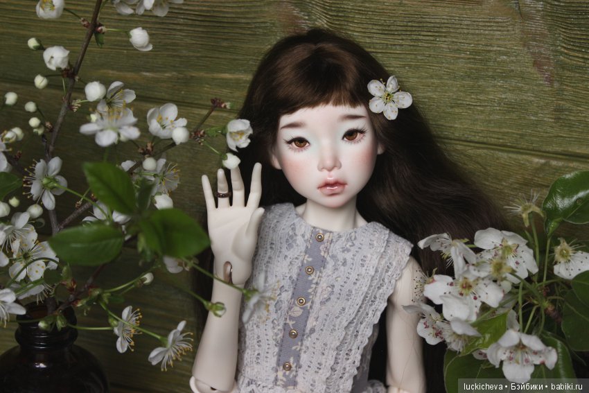 Файлин - весенняя фея. Цвет весны, белоснежно-нежный, прекрасный и быстротечный