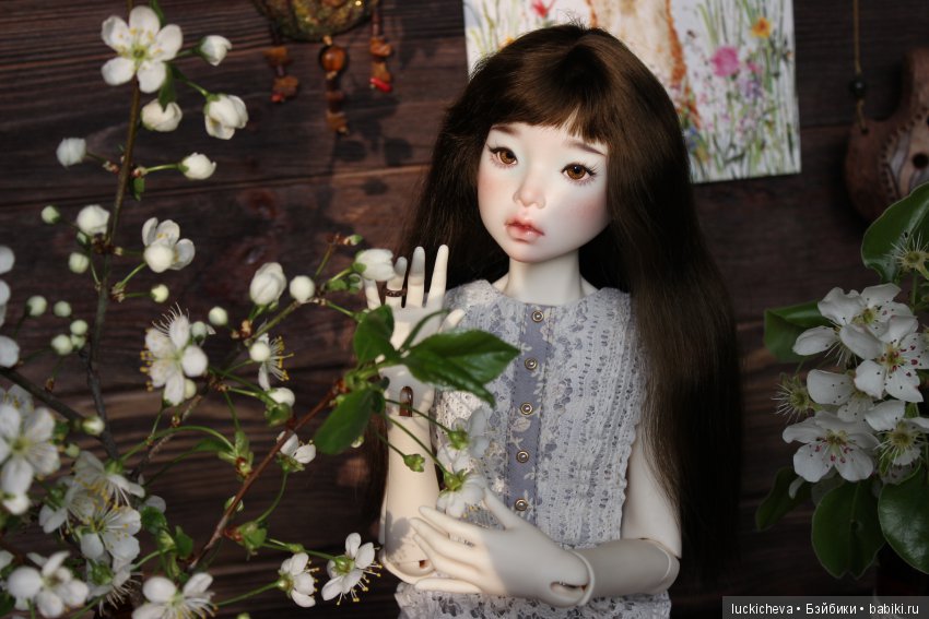 Файлин - весенняя фея. Цвет весны, белоснежно-нежный, прекрасный и быстротечный