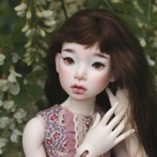 Красавица в акациях. Ах, этот медовый цвет