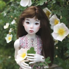 Пройдёмте в сад, я покажу Вас розам! Дикие розы и Файлин. Мой фотогербарий