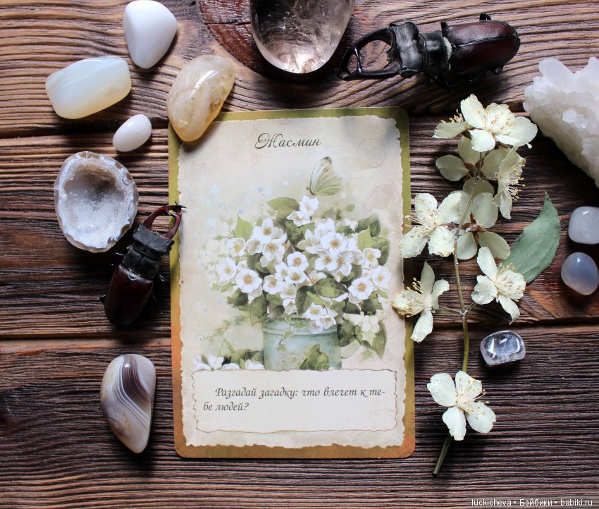 Мой Волшебный Гербарий. Онлайн игра "Получи письмо из Волшебного сада" (фото 4)