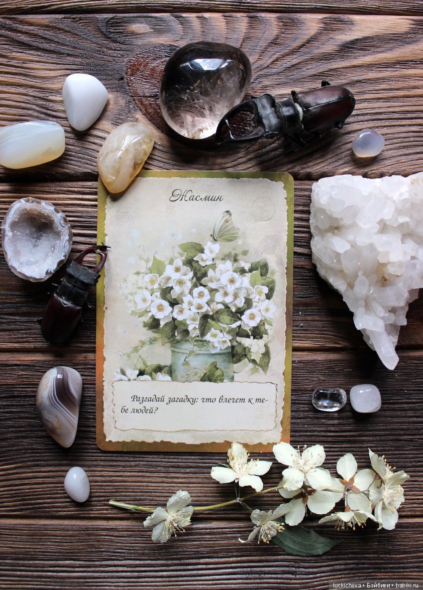 Мой Волшебный Гербарий. Онлайн игра "Получи письмо из Волшебного сада" (фото 3)