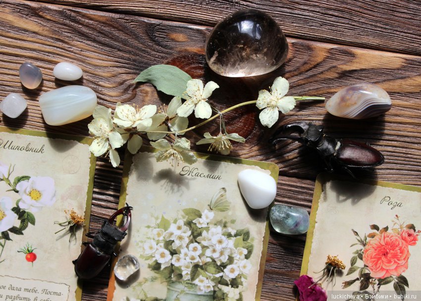 Мой Волшебный Гербарий. Онлайн игра "Получи письмо из Волшебного сада" (фото 9)