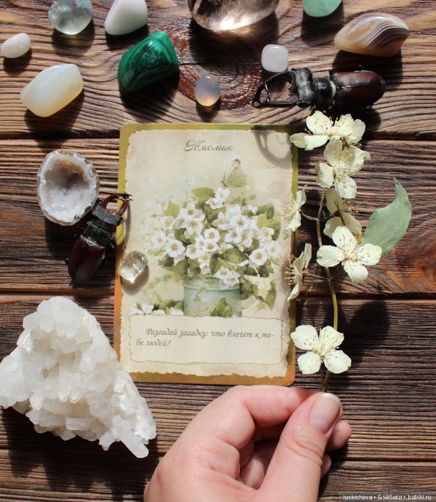 Мой Волшебный Гербарий. Онлайн игра "Получи письмо из Волшебного сада"